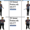 Effectiveness of 8 weeks Federation of International Football Association 11+ S Program on Upper Limb Strength, Power, Co-ordination and Reaction Time in Amateur Level Badminton Players – A Pilot Study