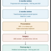 Figure 1: Timeline figure.