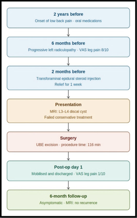 Figure 1: Timeline figure.