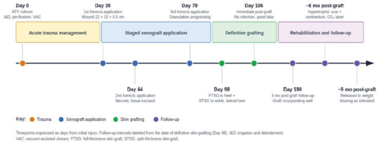 Figure 2: Clinical timeline of staged fish-skin xenograft reconstruction and outcome.