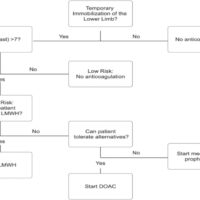 Figure 1: Proposed risk-adapted pathway for temporary lower-limb immobilization. Every adult with temporary lower-limb immobilization after injury enters the pathway; no patient is excluded from assessment on the basis of device type, weight-bearing status, or injury pattern, since these are components of the risk score rather than criteria for applying it. A validated risk assessment model, such as TRiP(cast), is calculated for all patients. Patients scoring below the threshold are managed without pharmacological prophylaxis, with early mobilization, education regarding symptoms of venous thromboembolism, and defined routes of re-presentation; prospective data support the safety of this approach. Patients scoring at or above the threshold are assessed for bleeding risk and, where prophylaxis is judged appropriate, offered low-molecular-weight heparin as the agent with the largest evidence base in this indication. This recommendation is shown on the pathway as conditional, reflecting the absence of randomized evidence of efficacy for symptomatic venous thromboembolism above the threshold, and should be accompanied by shared decision-making. Direct oral anticoagulants are shown as an off-label alternative where low-molecular-weight heparin is declined or not tolerated. Risk is reassessed if clinical status, device, or weight-bearing status changes, and prophylaxis, where given, continues until immobilization ends or weight bearing is restored.