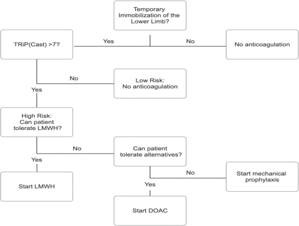 Figure 1: Proposed risk-adapted pathway for temporary lower-limb immobilization. Every adult with temporary lower-limb immobilization after injury enters the pathway; no patient is excluded from assessment on the basis of device type, weight-bearing status, or injury pattern, since these are components of the risk score rather than criteria for applying it. A validated risk assessment model, such as TRiP(cast), is calculated for all patients. Patients scoring below the threshold are managed without pharmacological prophylaxis, with early mobilization, education regarding symptoms of venous thromboembolism, and defined routes of re-presentation; prospective data support the safety of this approach. Patients scoring at or above the threshold are assessed for bleeding risk and, where prophylaxis is judged appropriate, offered low-molecular-weight heparin as the agent with the largest evidence base in this indication. This recommendation is shown on the pathway as conditional, reflecting the absence of randomized evidence of efficacy for symptomatic venous thromboembolism above the threshold, and should be accompanied by shared decision-making. Direct oral anticoagulants are shown as an off-label alternative where low-molecular-weight heparin is declined or not tolerated. Risk is reassessed if clinical status, device, or weight-bearing status changes, and prophylaxis, where given, continues until immobilization ends or weight bearing is restored.