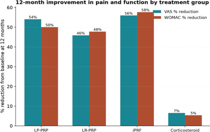 Figure 3: Percentage reduction in Visual Analog Scale and Western Ontario and McMaster Universities Osteoarthritis Index scores from baseline at 12 months, by treatment group.