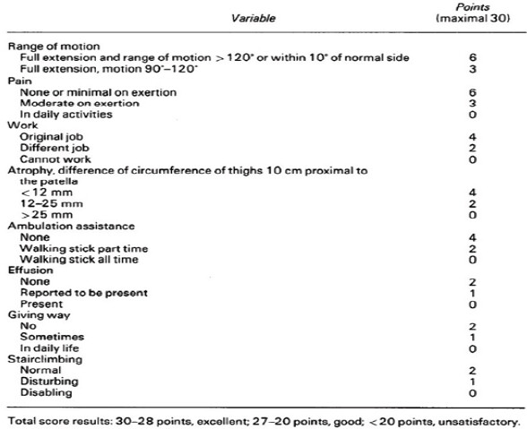 Figure 3: Details of the clinical grading of Bostman score (0–30 points).