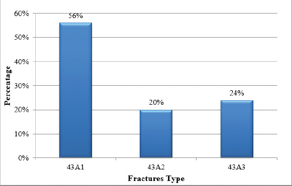 Figure 1: Distribution of fractures according to Arbeitsgemeinschaft für Osteosynthesefragen classification.