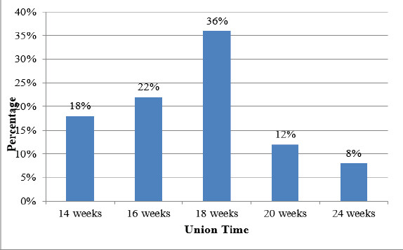 Figure 2: Time to radiological union in patients with extra-articular distal tibia fractures.