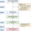 A Prospective Clinical and Radiological Assessment of Osteochondral Autograft Transfer for International Cartilage Repair Society Grade IV Osteochondral Lesions of the Knee
