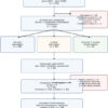 Translating and Validating a Hindi Version of the Spine Functional Index: Cross-cultural Adaptation and Psychometric Testing in an Indian Orthopedic Population