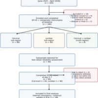 Figure 1: Recruitment and retest flow for the Hindi-translated spine functional index validation cohort (n = 186 enrolled; n = 90 retest subsample). Flow diagram showing screening, enrolment, and follow-up of study participants.