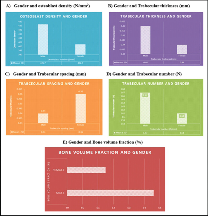 Figure 1: Gender-wise comparison of osteoconductive variables (a, b, c, d, e). Bar graphs illustrating the mean values (± SD) of five osteoconductive parameters in male (n = 7) and female (n = 3) bone callus samples: (a) Osteoblast density (N/mm2), (b) trabecular thickness (mm), (c) trabecular spacing (mm), (d) trabecular number (N/mm), and (e) bone volume fraction (%). Error bars represent standard deviation. Statistical comparison was performed using the unpaired Student’s t-test. NS: Not significant (P > 0.05). Male callus showed marginally higher osteoblast density and bone volume fraction compared to female samples; however, these differences did not reach statistical significance, attributed to the small pilot sample size (n = 10). N/mm2: Number per square millimeter, mm: Millimeter, N/mm: Number per millimeter, %: Percentage, SD: Standard deviation, M: Male, F: Female.