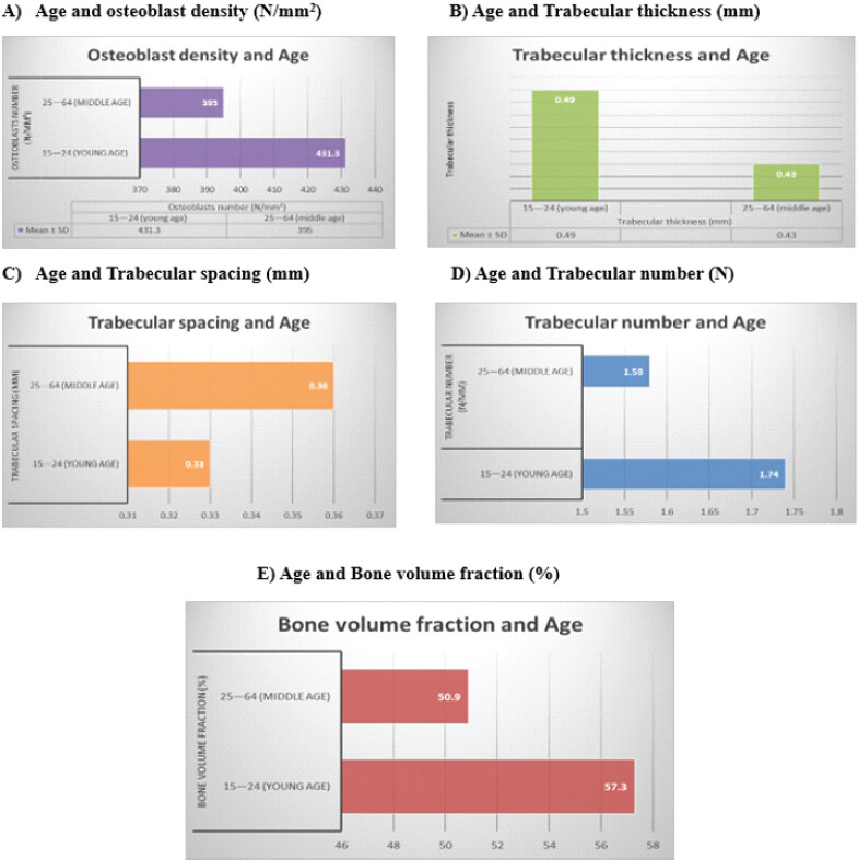 Figure 2: Age-wise comparison of osteoconductive variables (a, b, c, d, e). Bar graphs comparing mean values (± SD) of five osteoconductive parameters between two age groups – young (15–24 years, n = 4) and middle-aged (25–64 years, n = 6) bone callus samples: (a) osteoblast density (N/mm2), (b) trabecular thickness (mm), (c) trabecular spacing (mm), (d) trabecular number (N/mm), and (e) bone volume fraction (%). Error bars represent standard deviation. Statistical comparison was performed using the unpaired Student’s t-test. NS: Not significant (P > 0.05). The younger age group (15–24 years) demonstrated consistently higher mean values across all osteoconductive parameters compared to the middle-aged group (25–64 years), indicating a superior osteogenic and osteoconductive microenvironment in younger individuals. The absence of statistical significance is attributed to the small pilot sample size (n = 10). N/mm2: Number per square millimeter, mm: Millimeter, N/mm: Number per millimeter, %: Percentage, SD: Standard deviation, M: Male, F: Female, Y: Young (15–24 years), M: Middle-aged (25–64 years).