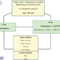 Figure 1: Study design. SCI: Spinal cord injury, QOL: Quality of life.