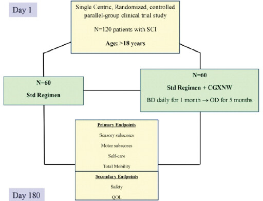 Figure 1: Study design. SCI: Spinal cord injury, QOL: Quality of life.