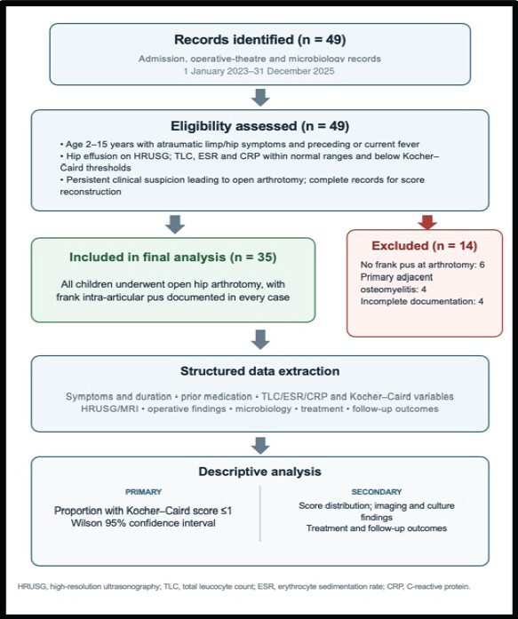 Figure 1: Study selection and analytical pathway.