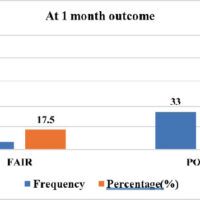 Figure 1: Functional outcome assessment at 1 month.