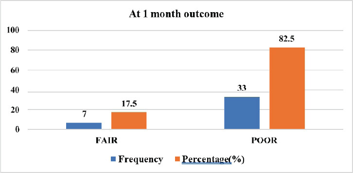 Figure 1: Functional outcome assessment at 1 month.