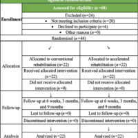 Chart 1: CONSORT participant flow diagram