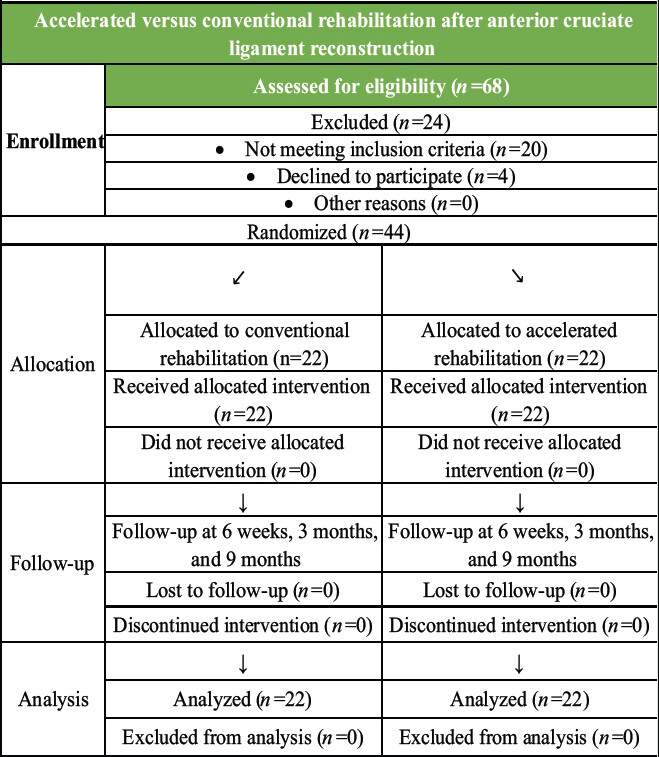 Chart 1: CONSORT participant flow diagram