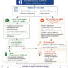 Bridge-Enhanced Anterior Cruciate Ligament Repair versus Autograft Reconstruction in Anterior Cruciate Ligament Surgery