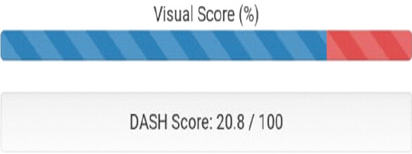 Figure 4: Disabilities of the arm, shoulder, and hand score (at 2 years).
