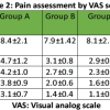 Comparative Evaluation of Multimodal Analgesia Techniques in Total Knee Arthroplasty: A Comparative Study