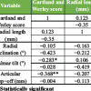 Functional and Radiological Outcomes Following Volar Locking Plate Fixation for Distal Radius Fractures: A Prospective Analytical Study